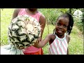 How to Grow Pineapple at Home Fast and Easy - How to Grow Pineapples #pineapple