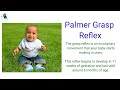 What is Palmar Grasp Reflex ? Primitive reflex | Newborn reflex