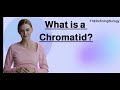 What is a Chromatid? | Biology Definitions