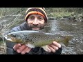 RIVER DON GRAYLING - Trotting on a Winters day - JAN 24
