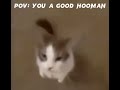 POV: you a good hooman #wholesome #wholesomememes #youtube