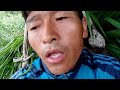 बारीमा घाँस काटदै gaule life style 💥 nepal 🇳🇵