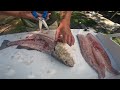 Fishing a LIVE! SHRIMP in the Bayou for our DINNER! [Catch, Clean, Cook]