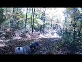 Trail Camera- Deer plus Trespassing Dogs etc. With Sound