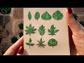 Drawing Green Leaves 🌿 How To Draw A Leaf ☘️ Easy Drawing 🍃 Drawing Tutorial Easy 🌱 #trending