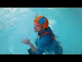 Sink or Float with Blippi | Cool Science Experiment for Kids | Educational Videos For Kids