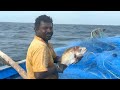 Incredible !!! Second We Caught lot of Fish's and CUTTLE FISH'S| Deep sea fishing | net fishing