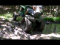 Tractor Romp deep in the woods