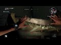 DYING LIGHT PART 1