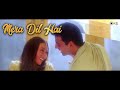 Ek Dil Hai - Lyrical | Ek Rishtaa | Akshay Kumar, Karisma | Alka Yagnik, Kumar Sanu | Hindi Song