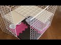 100均材料で、猫用ケージを作ってみた  How to make a cat cage for kitten