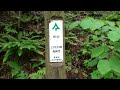 倉渕せせらぎ公園 ユニークな吊り橋 Unique Suspension Bridge 新緑の渓流　Mountain stream