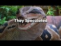 What If Titanoboa Snake Didn't Go Extinct ? || World discovery