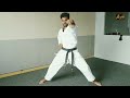 karate basic punch Japanese name🥋