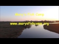 Mary's Fish Camp