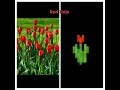 #Minecraft flowers vs real life flowers#subsribe👇👇👇😭🥺