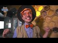 Pirate Blippi Explores The San Diego Zoo | Learning Animals for Kids | Educational Videos for Kids