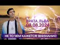 СРОЧНО ВРАТА ЛЬВА 08.08.2024 НЕ ТО ЧЕМ КАЖЕТСЯ! НЕ ДЕЛАЙТЕ ЭТОГО