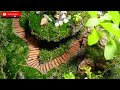Moss Garden |Garbage Clock Transform Into Mini Garden | Mini Moss Garden @langmechannel