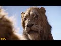 Long Live The King | Scar's Betrayal Scene from The Lion King