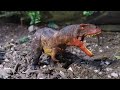 Sculpting A CARCARADONTOSAURUS From Prehistoric Kingdom | Clay Dinosaur Sculpture