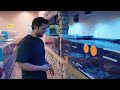 Corals for beginner reef tanks!!!