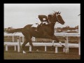 Phar Lap Documentary