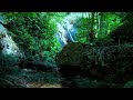 Waterfall in the Jungle Relaxing Sounds Feel Calm and Comfort Instantly Deep Sleep