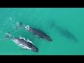 Australia 4K - Scenic Relaxation Film With Calming Music