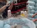 Cotton Candy Spinning!  3