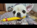 이 영상이 마지막이 될줄이야~