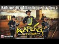 LOS ALAMEÑOS DE LA SIERRA ~ PURO ZAPATEADO Y HUAPANGOS ~ Mix Moviditas Para Bailar 2024
