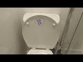 Saniflo toilet flush