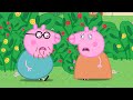 BREWING CUTE PREGNANT & CUTE BABY!!! - What Really Happened? - Peppa Pig Funny Animation