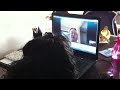Dayka en mama webcammen