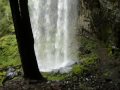 Grotto Falls, Umpqua National Forest, Oregon