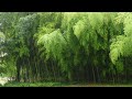 [좋은소리풍경4K] Healing Sound 2h / 마음을 씻겨주는, 대나무 숲 빗소리  (2시간)