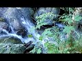 Шум Воды Горной Реки. Успокаивающие Звуки Природы| Mountain River.  Relaxing Nature Sounds