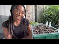 The ULTIMATE Seed Starter Kit!😃🌿 Everything You Need🙌🏾 #GROWFRIEND