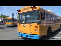 Why Do School Buses Still Look The Same?