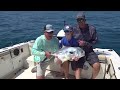 Fishing for giant Permit in Punta Gorda