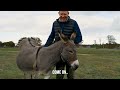 Thinking of keeping donkeys? - Adam Henson's Farm Diaries - Ep23