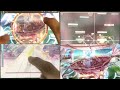 Stasis in 3 Rhythm Games [Lanota x Arcaea x Phigros] (Details in Description)