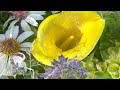 Cut Flower Arrangements with Fresh Basil & Calla Lilies 💐💐💐 || Floral Design || Cut Flower Garden