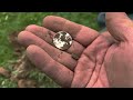 Never Been Touched! - Loads of Silver & AMAZING Old Finds Metal Detecting This Early 1700s Property!