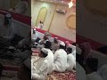 موال كرم الشريف   في زفاف عبدالله الشريف