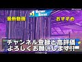 FNCS決勝戦で「プロ人生でも全てが最高」な完全ビクロイを取るネフライト【フォートナイト/Fortnite】