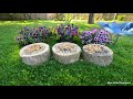 4K TV For Cats | Pleasantly Purple Flowers | Bird and Squirrel Watching | Video 32