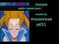 sailor moon-carry on