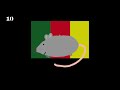 Erkennst du die Flaggen mit Ratte drauf? (Flaggen-Quiz #29)